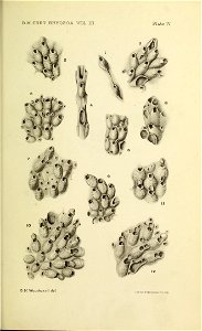 n414_w1150