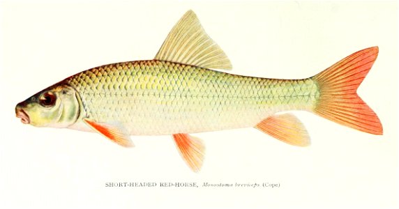 n270_w1150