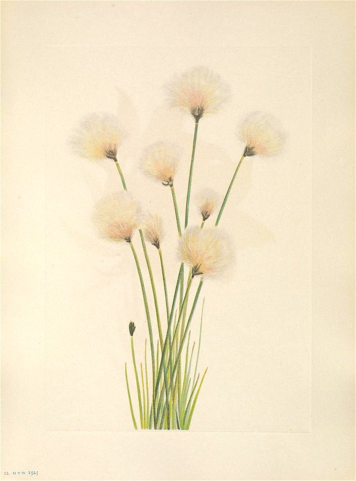 n124_w1150