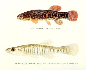 n421_w1150