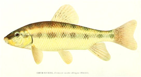 n251_w1150