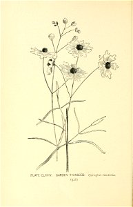 n623_w1150