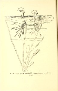 n513_w1150