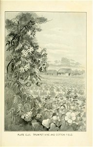 n562_w1150