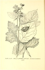 n613_w1150
