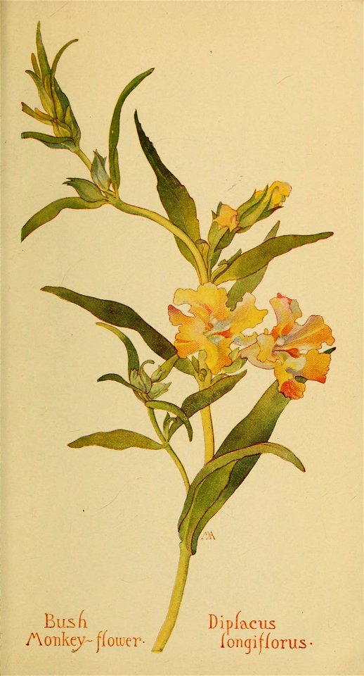 n596_w1150