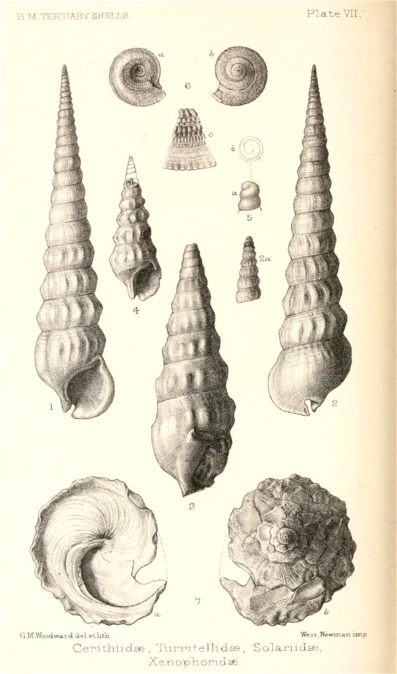 n463_w1150