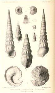 n463_w1150