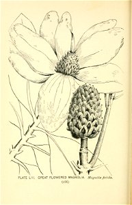 n219_w1150