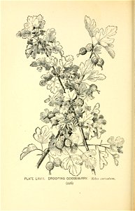 n283_w1150