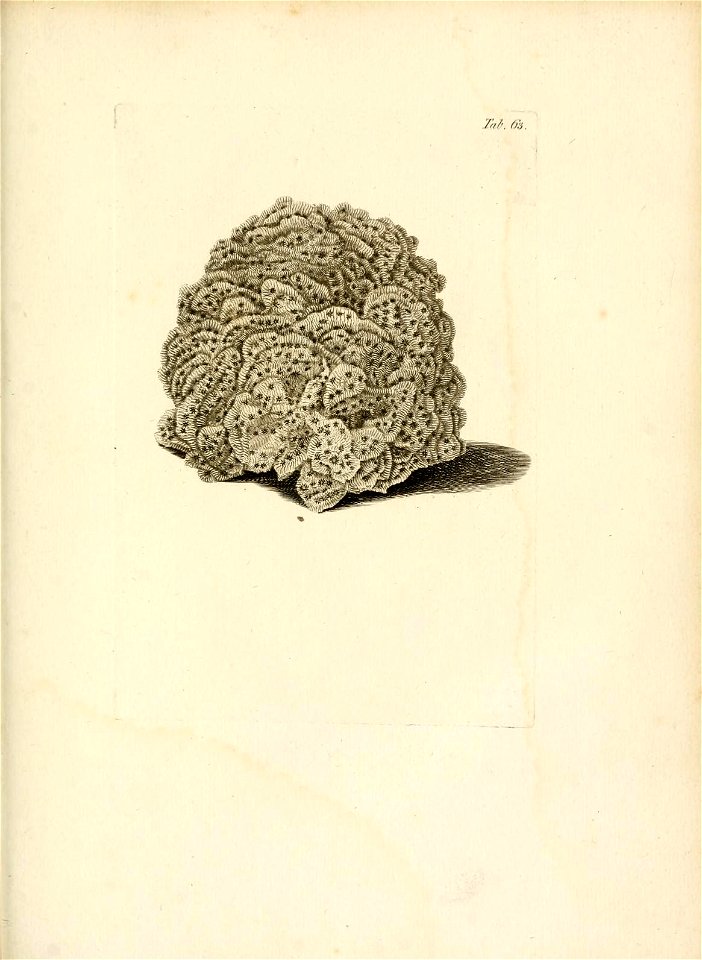 n256_w1150
