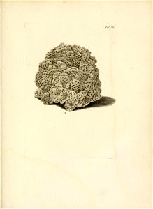 n256_w1150