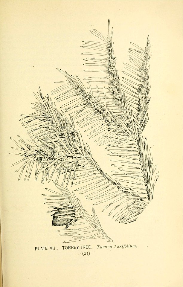 n66_w1150