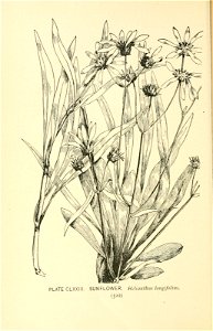 n619_w1150