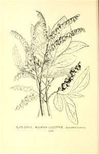 n465_w1150