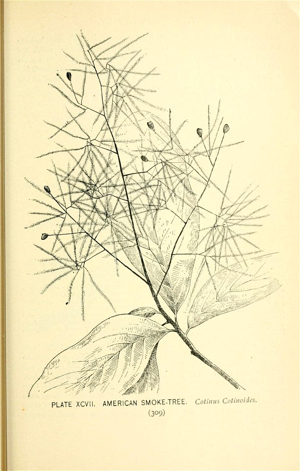n374_w1150