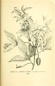 n422_w1150