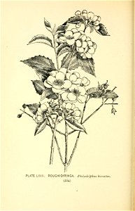 n281_w1150