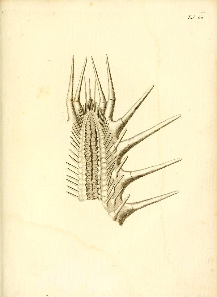 n254_w1150