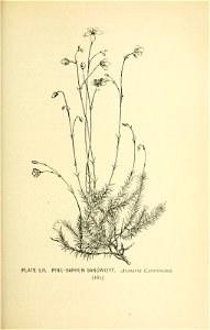 n214_w1150