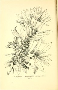 n159_w1150
