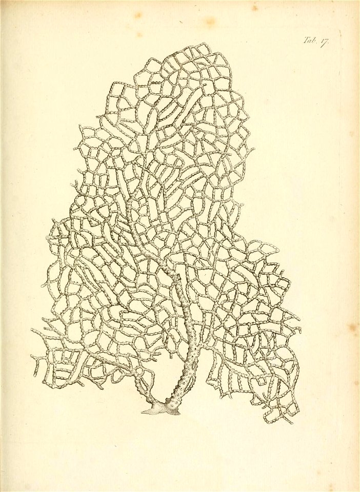 n162_w1150