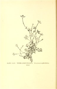 n567_w1150