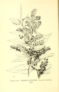 n463_w1150