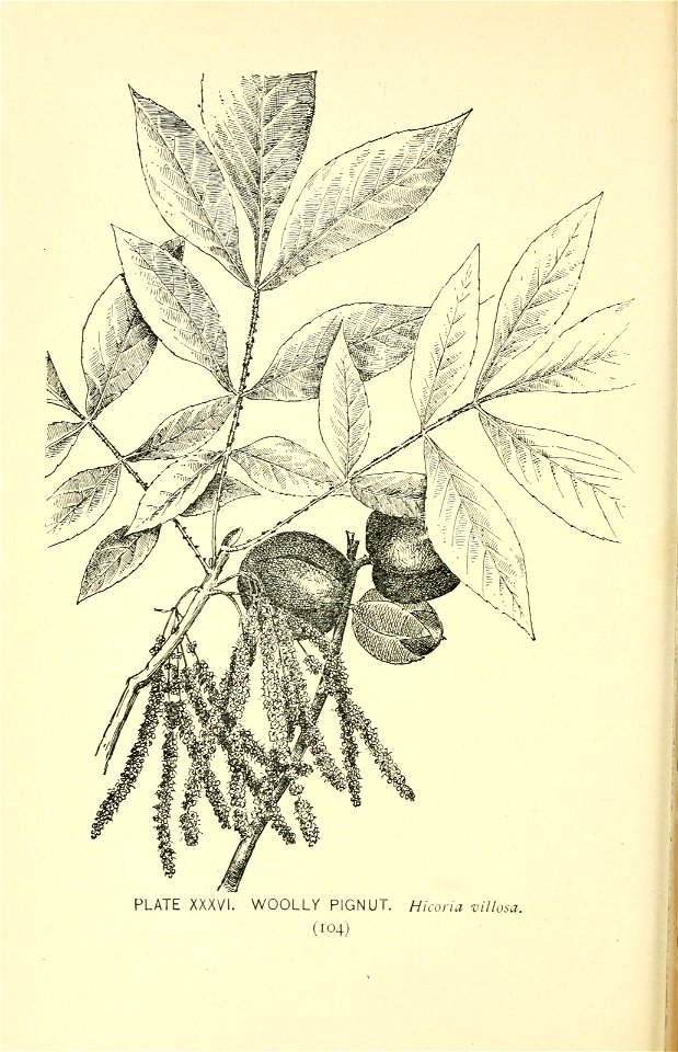 n157_w1150