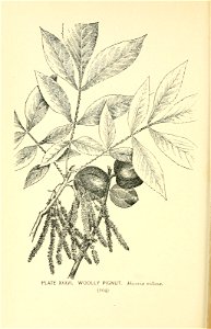 n157_w1150