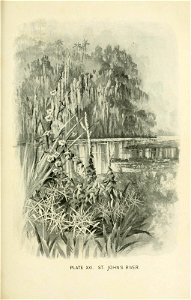 n118_w1150