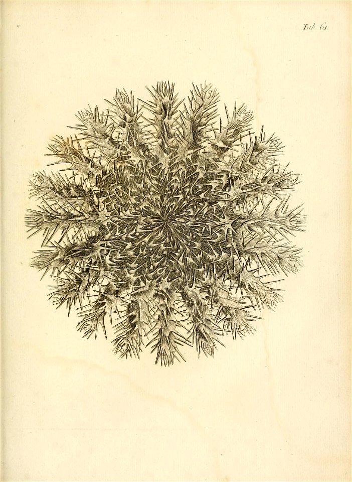 n252_w1150