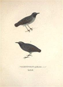 n186_w1150