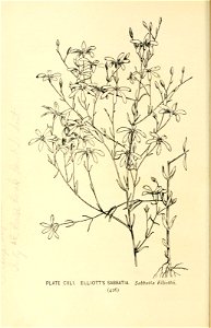 n505_w1150