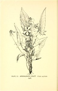 n417_w1150