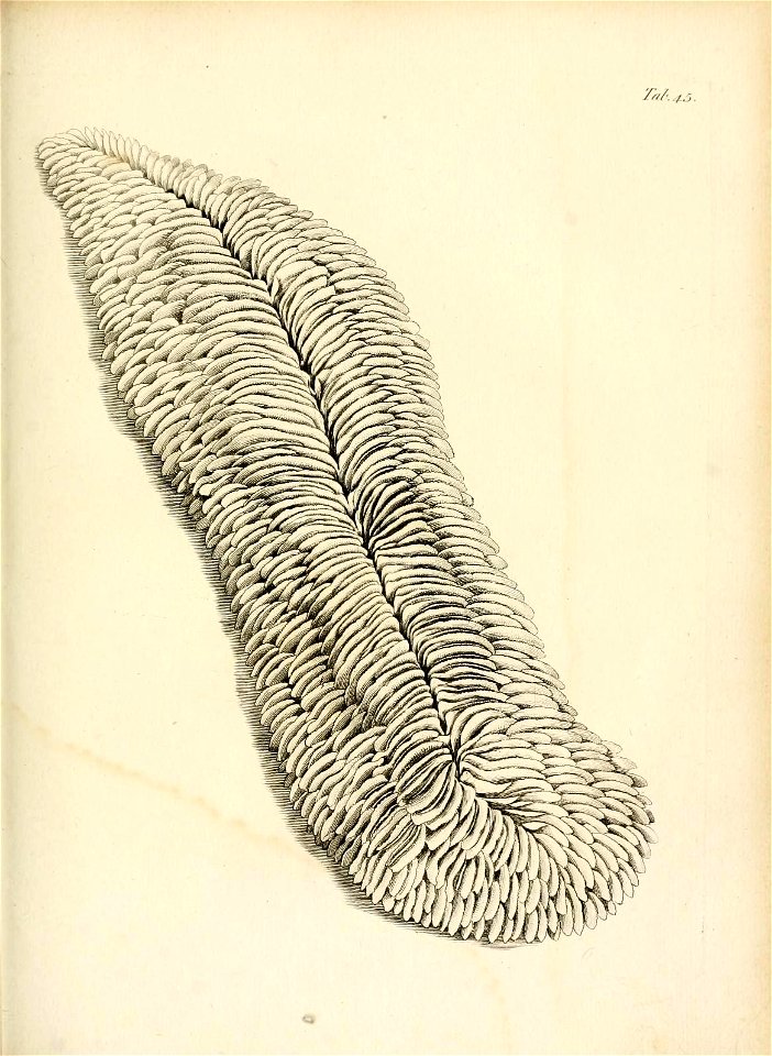 n220_w1150