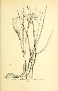 n114_w1150