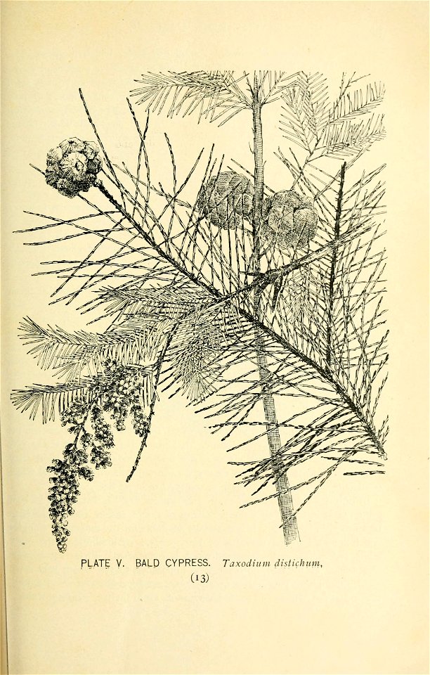 n58_w1150