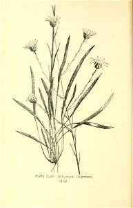 n611_w1150