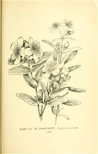n412_w1150