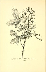 n367_w1150