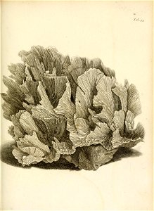 n218_w1150