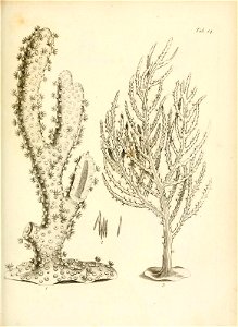 n156_w1150