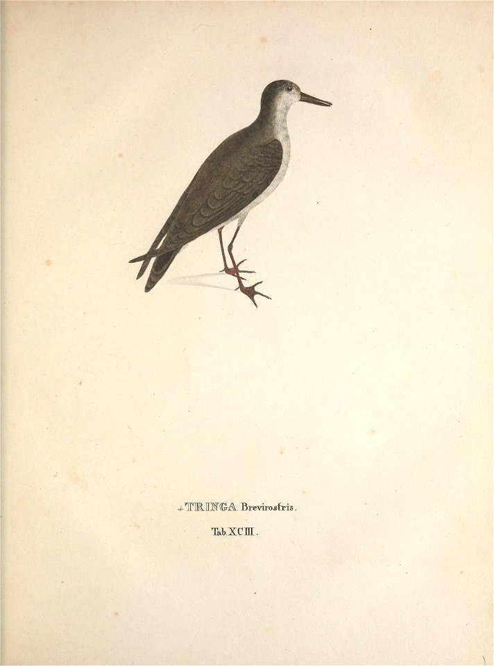 n302_w1150