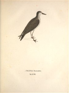 n302_w1150