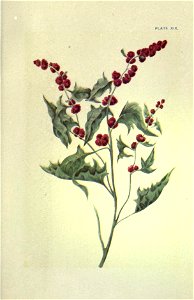 n290_w1150