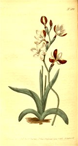 n159_w1150