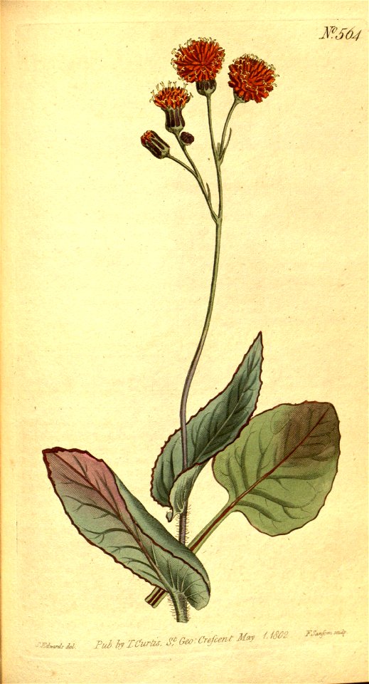 n156_w1150