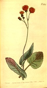 n156_w1150