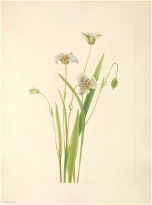 n104_w1150